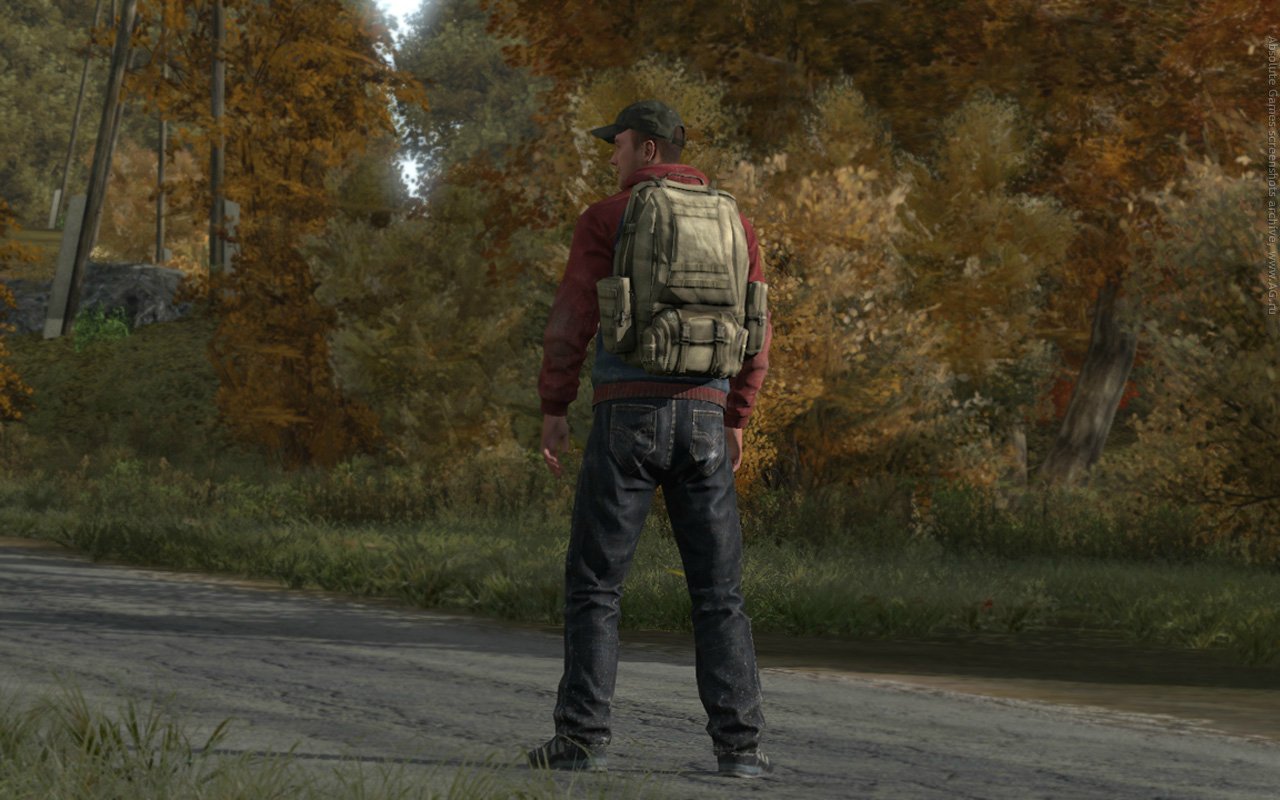 Сообщество Steam::DayZ